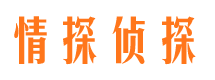 城东商务调查